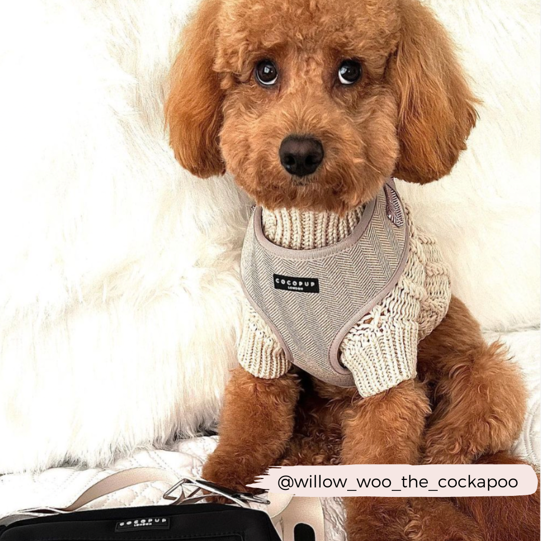 COCOPUP London - Hundegeschirr - Brauner Tweed