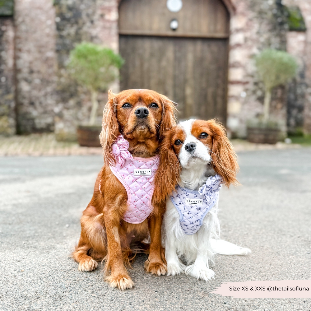 Blumenmuster Hundegeschirr: Stylish, bequem und sicher – das "Quilted Ditsy Floral Pink" Halsgeschirr für deinen Hund.