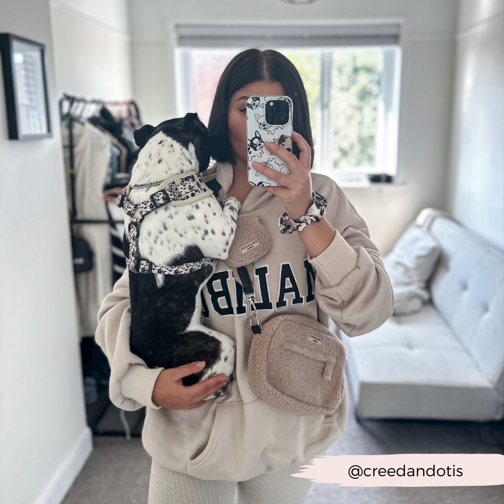 COCOPUP London - Dog Walking Bag - Teddy Rupert