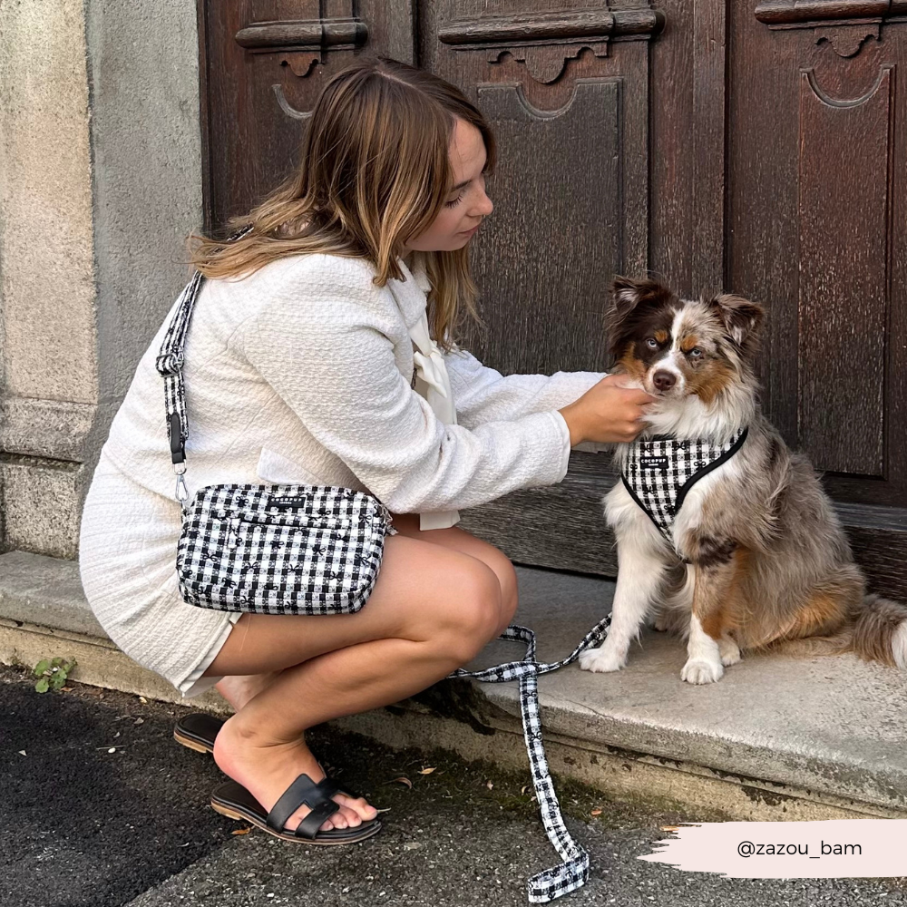 COCOPUP London - Hundegeschirr - Pup in Paris