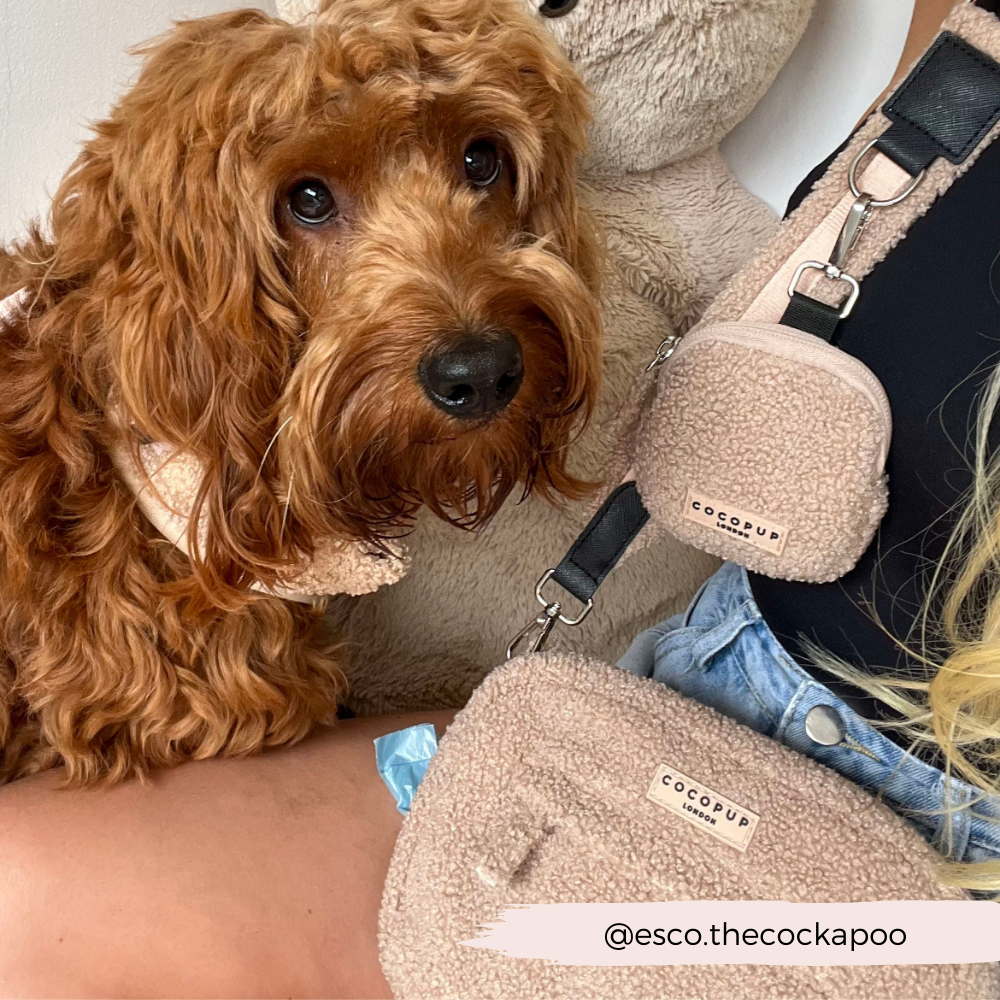COCOPUP London - Dog Walking Bag - Teddy Rupert