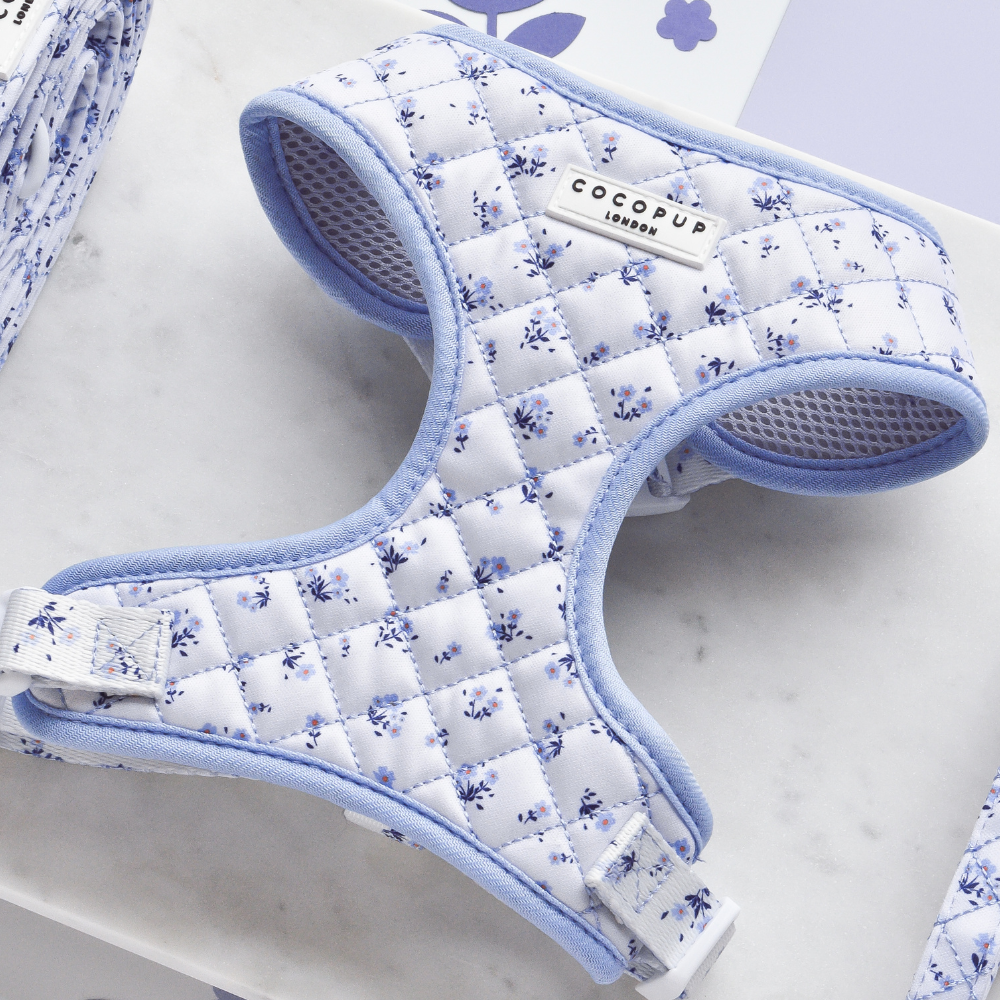 Das Quilted Ditsy Floral Periwinkle Halsgeschirr in Blau bietet Komfort und Stil für deinen Hund.