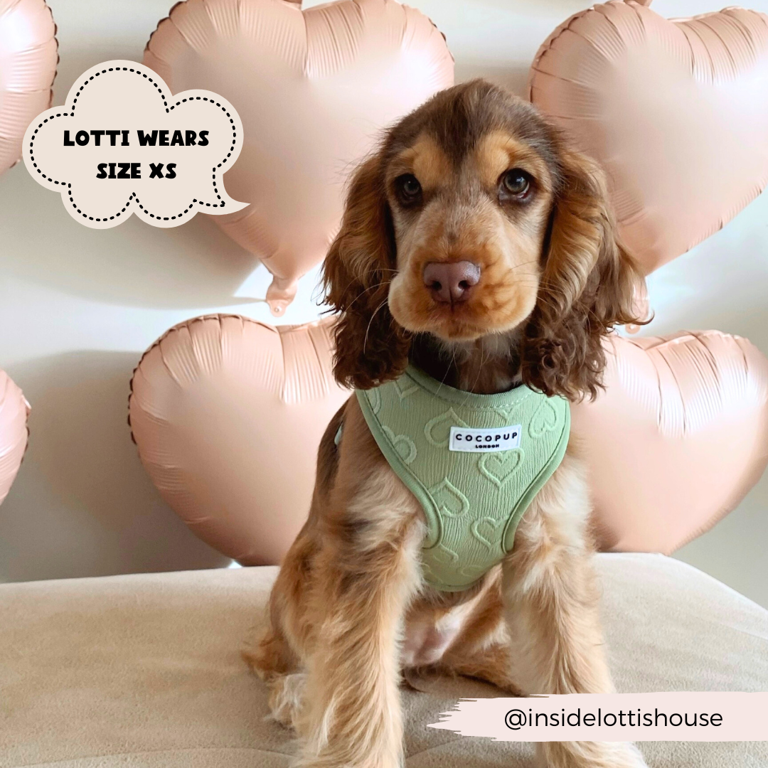 Mit dem verstellbaren Brustgurt des Luxe Adjustable Neck Harness bekommt dein Hund den perfekten Sitz.
