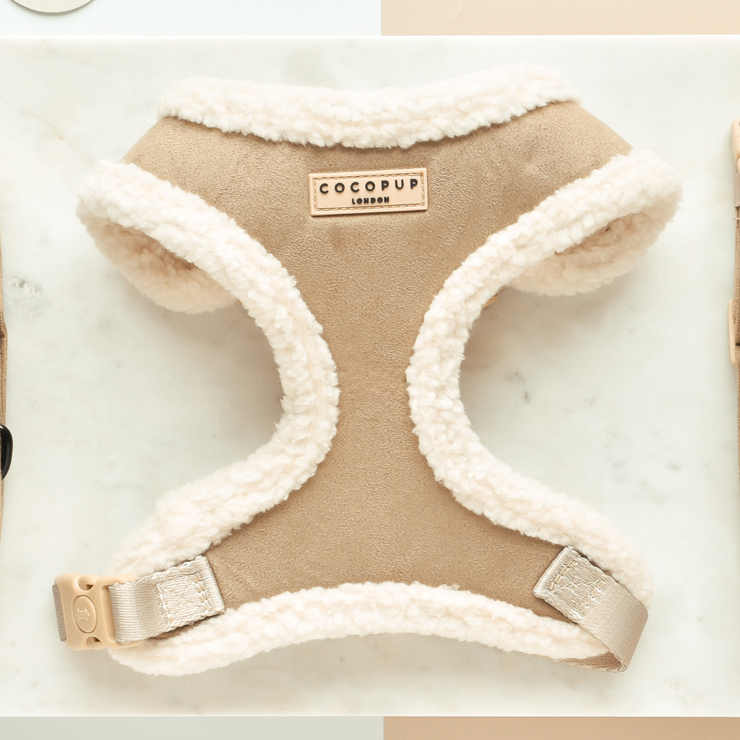 COCOPUP London - Hundegeschirr - Nude Aviator