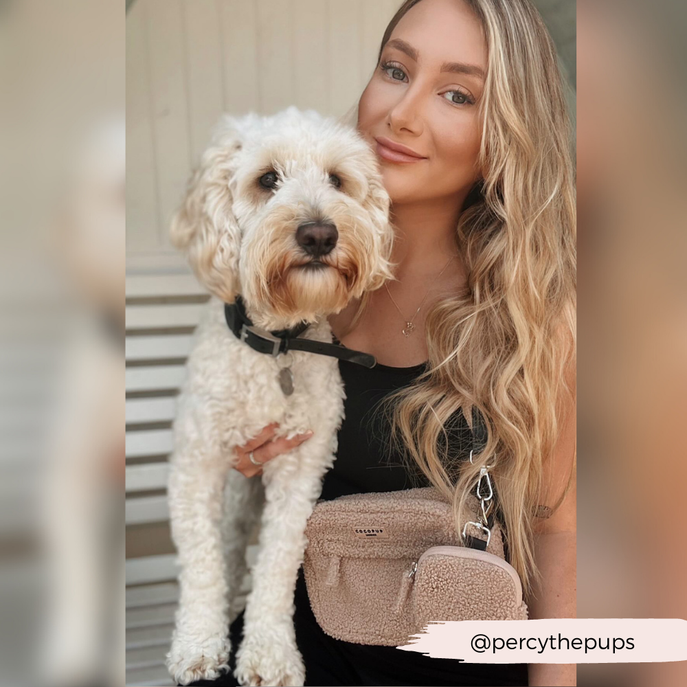 COCOPUP London - Dog Walking Bag - Teddy Rupert