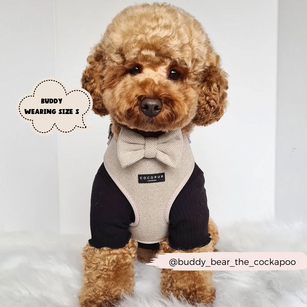 COCOPUP London - Hundegeschirr - Brauner Tweed