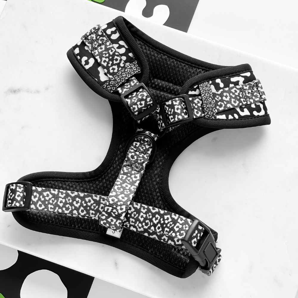 Der Black Leopard Adjustable Neck Harness sorgt für sicheren Halt und sieht dabei einfach toll aus.