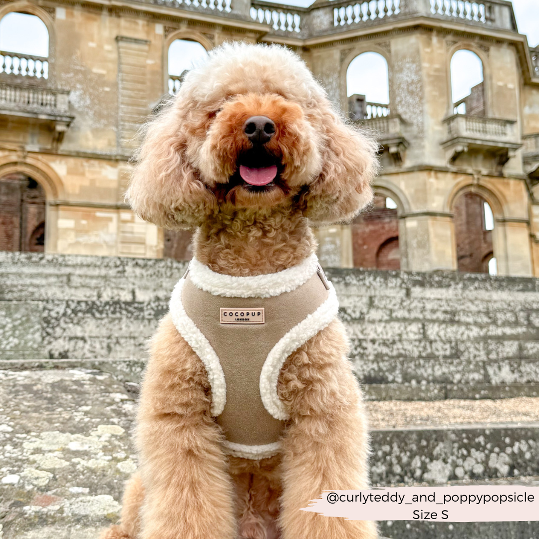 COCOPUP London - Hundegeschirr - Nude Aviator