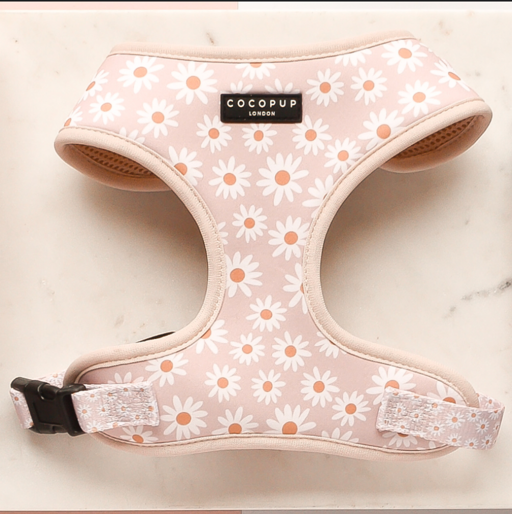 Daisy Chain Hundegeschirr in zartem Rosa mit weißen Gänseblümchen – ideal für verspielte Spaziergänge.