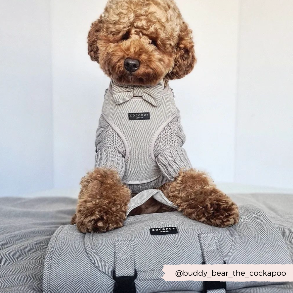 COCOPUP London - Hundegeschirr - Brauner Tweed