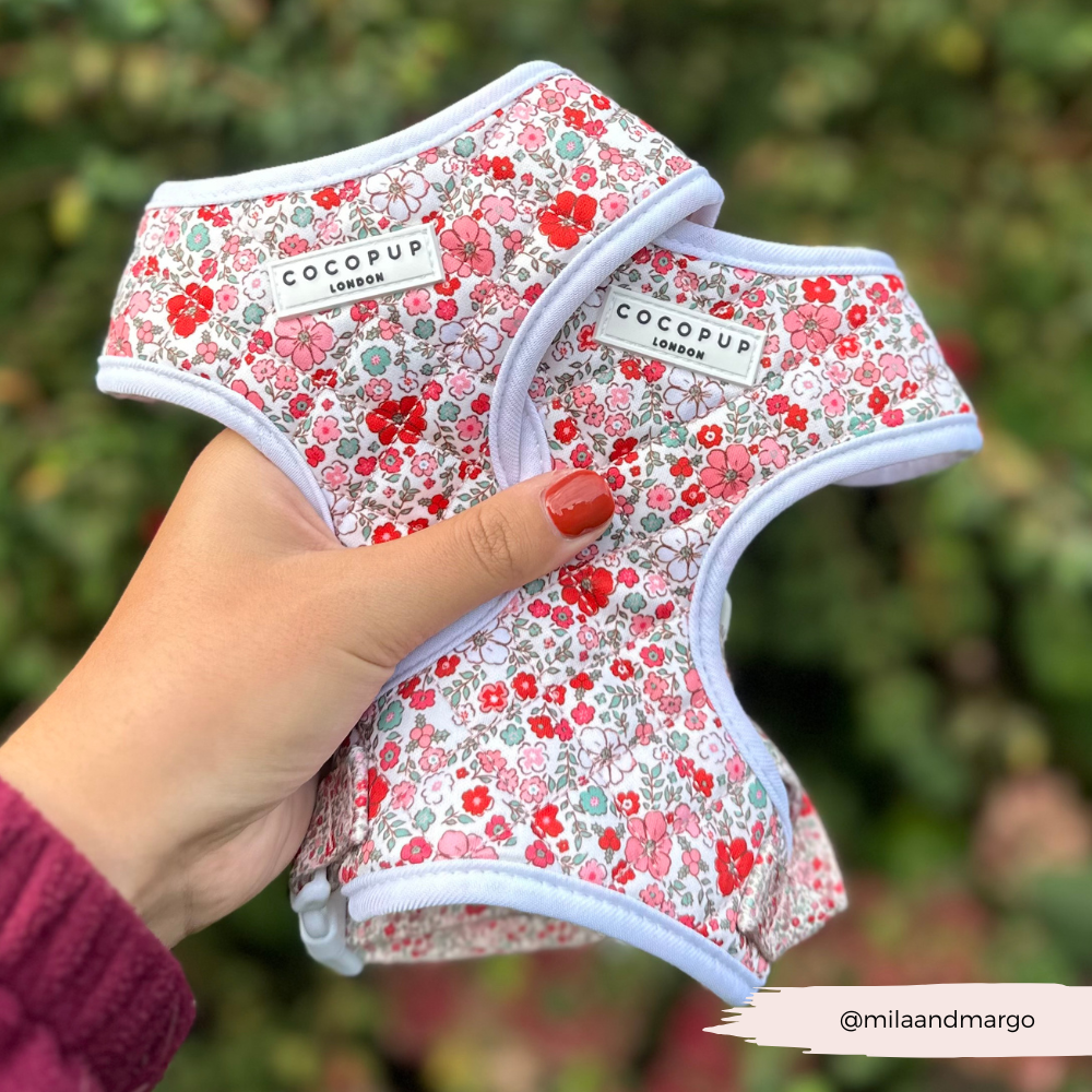 Komfortables Hundegeschirr mit einem verspielten Blumenmuster in Pink und Rot – perfekt für modebewusste Hunde.