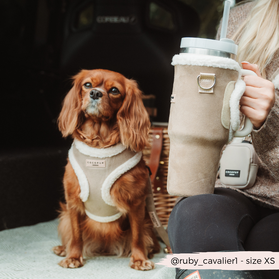 COCOPUP London - Hundegeschirr - Nude Aviator