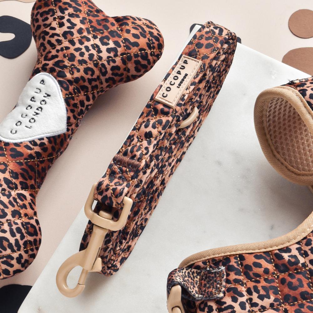 Leopard-Print Hundeleine – Stylische, gepolsterte Hundeleine im angesagten Leopardenmuster für modische Hundebesitzer.