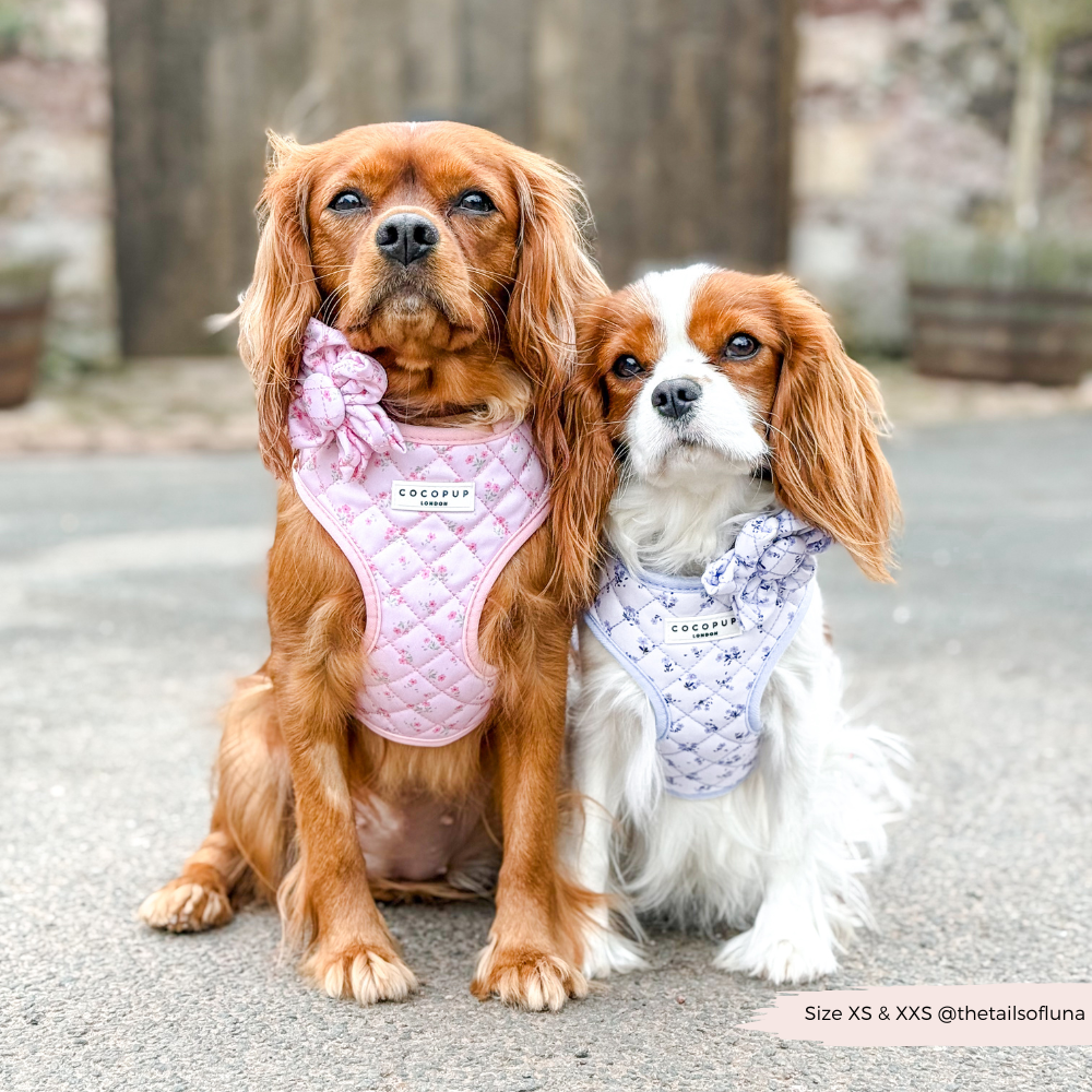 Komfortables Halsgeschirr für Hunde im floralen Design: Rosa Hundegeschirr, das Sicherheit und Stil vereint.