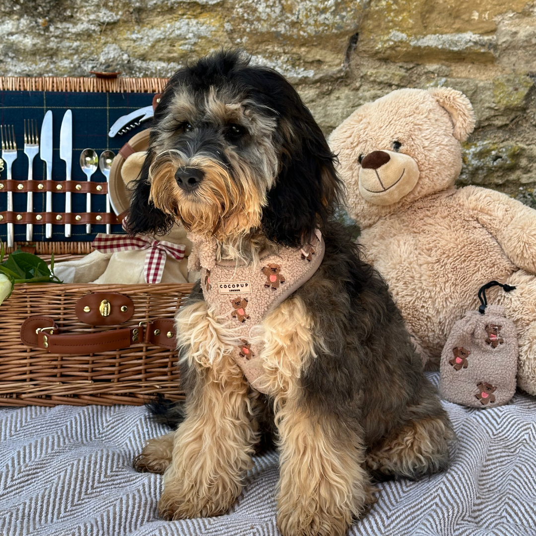 Verstellbares Hundegeschirr "Theo Teddy" mit charmanten Teddybären-Stickereien – perfekt für stylische Spaziergänge mit deinem Hund