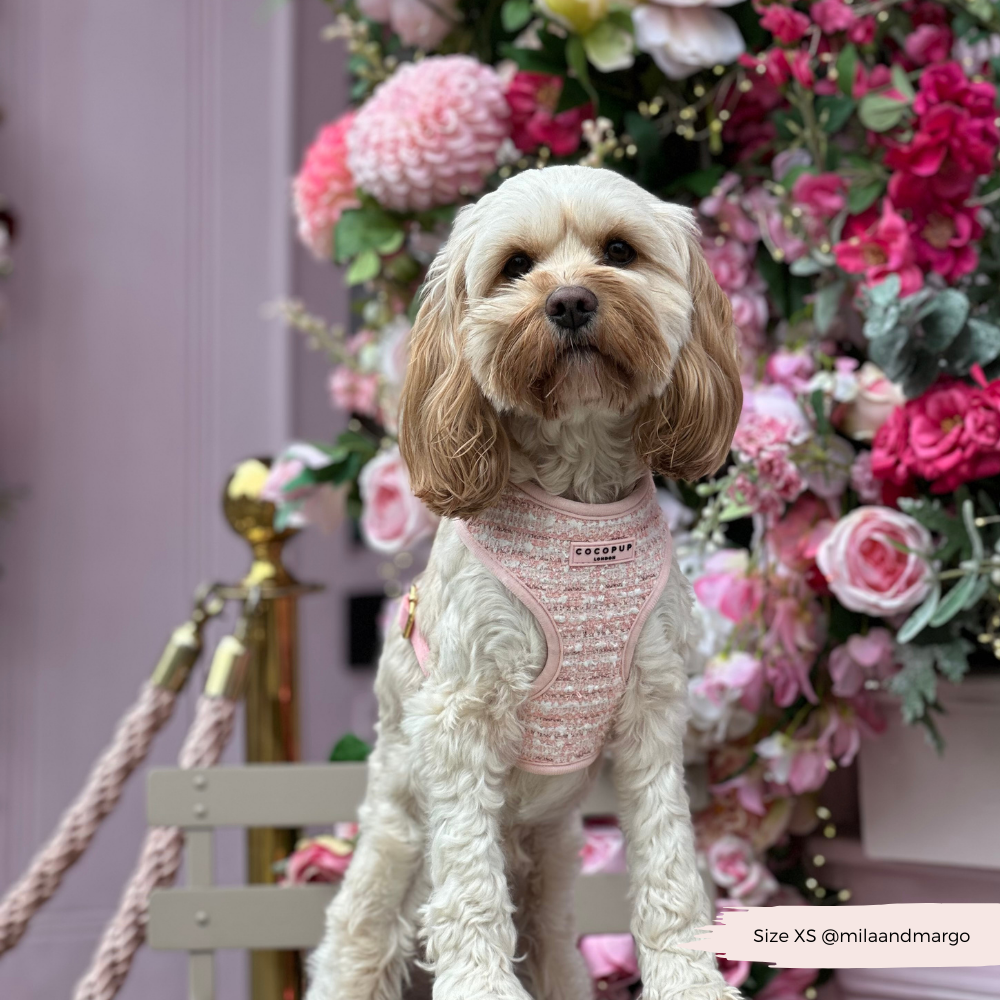 COCOPUP London - Hundegeschirr - Rosa Strukturierter Tweed