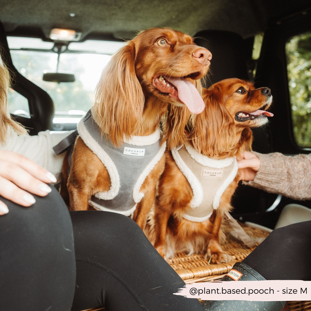 COCOPUP London - Hundegeschirr - Nude Aviator