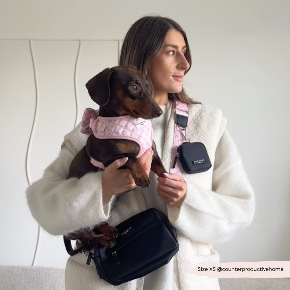 COCOPUP London - Hundegeschirr - Ditsy Floral Pink