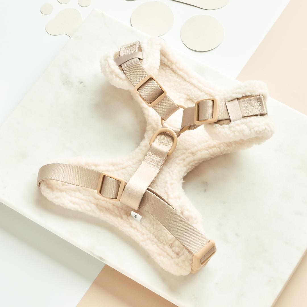 COCOPUP London - Hundegeschirr - Nude Aviator