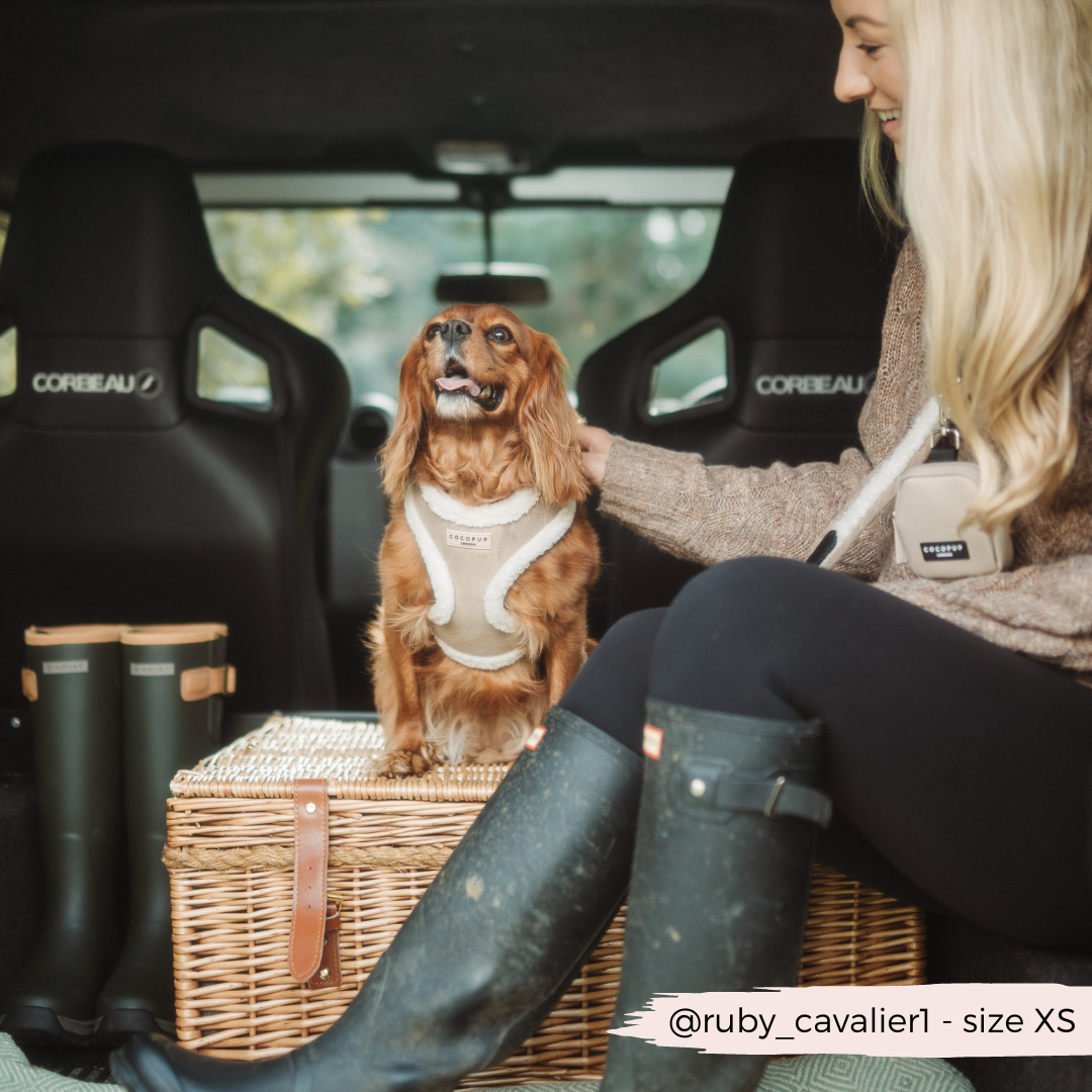 COCOPUP London - Hundegeschirr - Nude Aviator