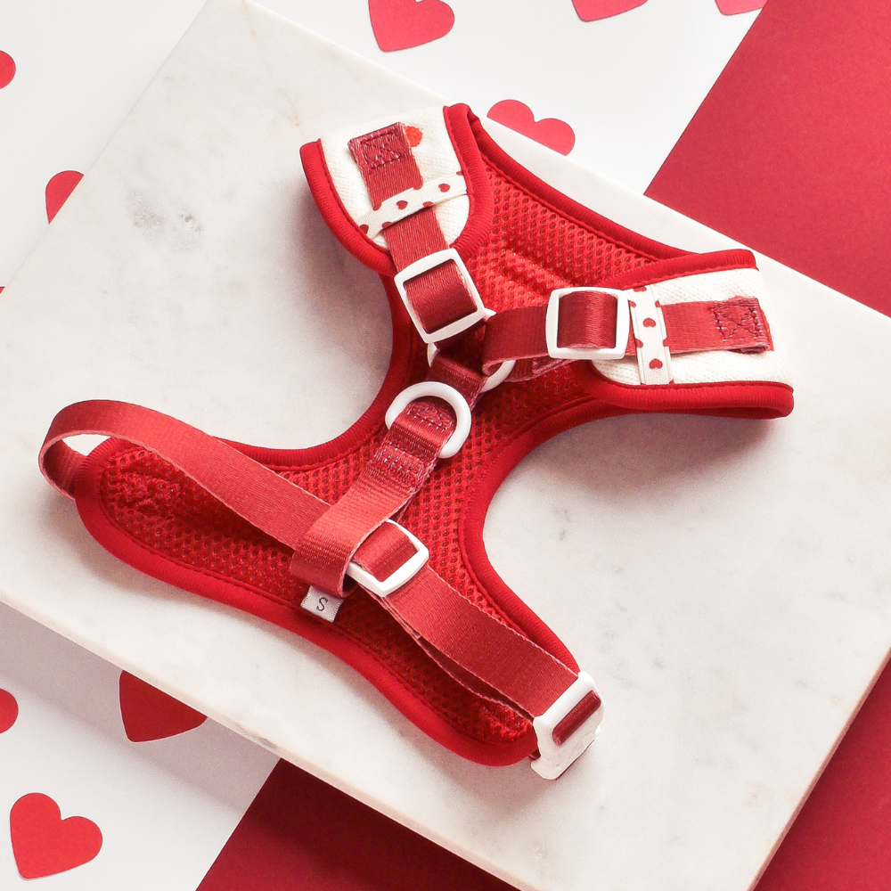 Verstellbares Hundegeschirr mit Herz-Design – Komfort und Stil für deinen Hund.
