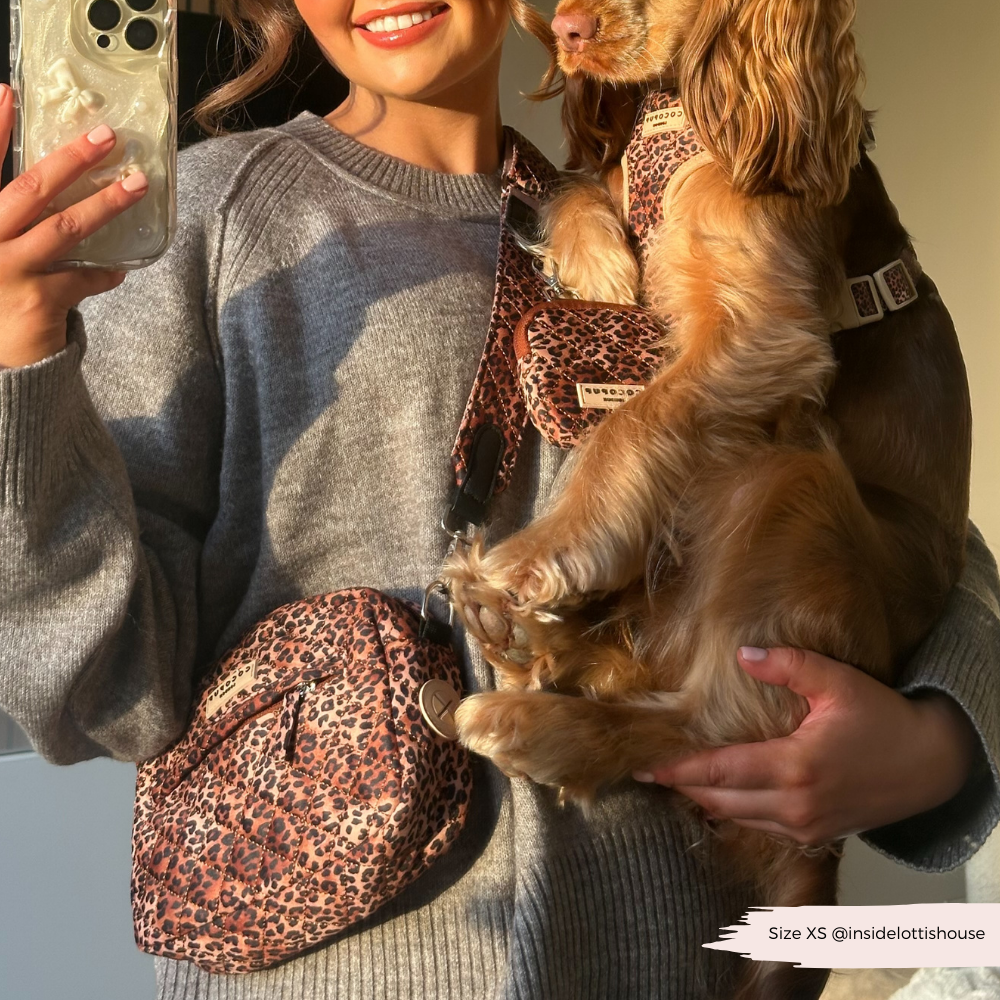 Die Hundebag mit Poop Bag Dispenser – praktisch und stylisch für Hundeausflüge.