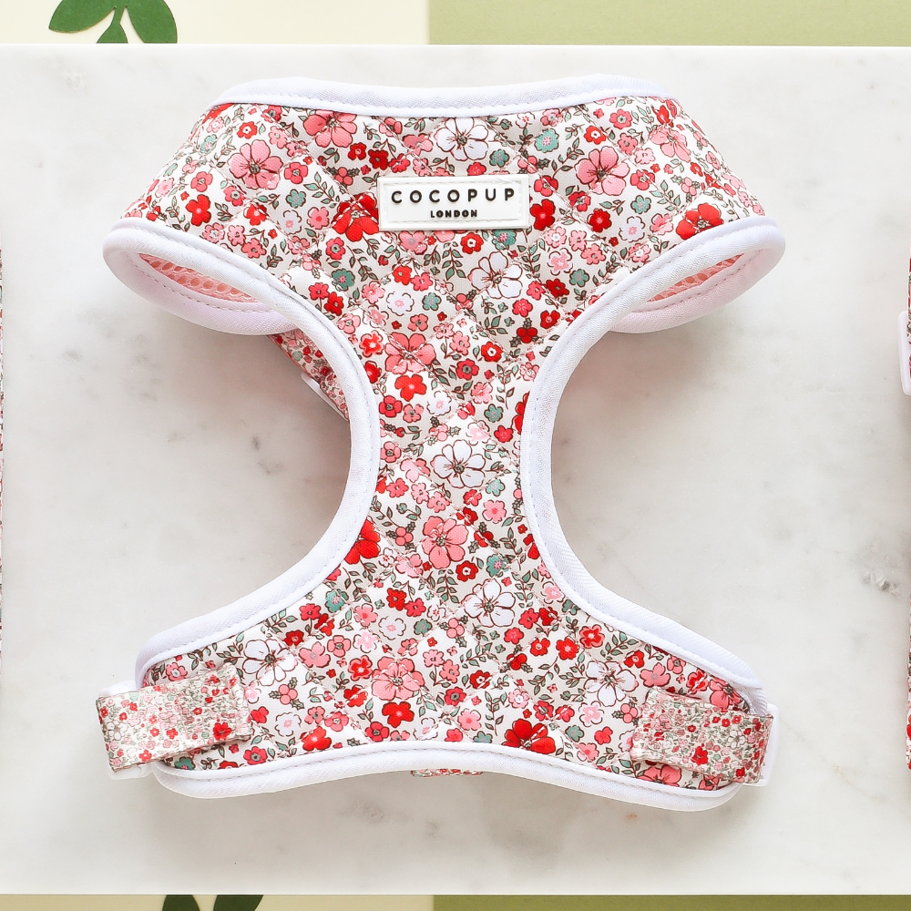 Charmantes, floral gemustertes Hundegeschirr in Pink und Rot für stylische Spaziergänge.