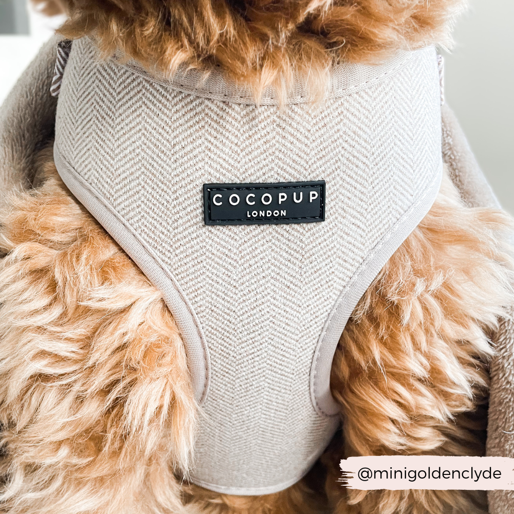COCOPUP London - Hundegeschirr - Brauner Tweed