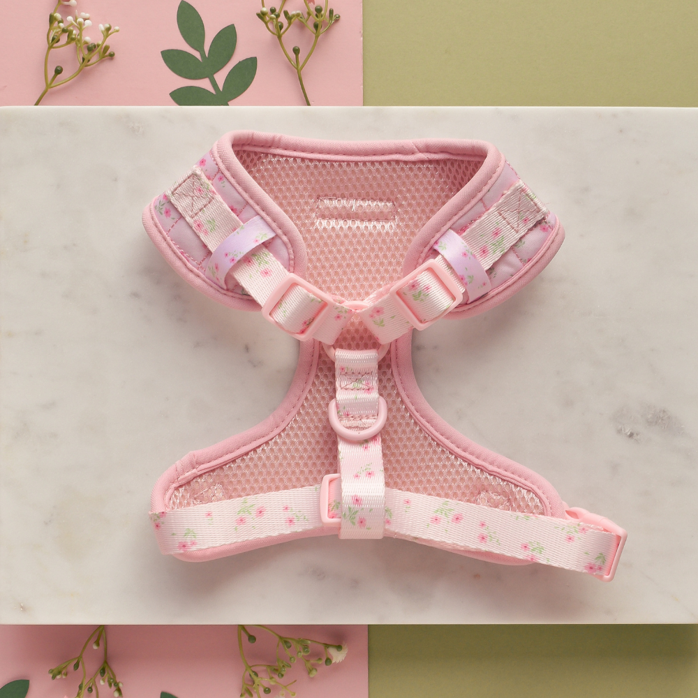 Halsgeschirr mit Blumenmuster für deinen Hund: Verstellbares Geschirr aus weichem Polyester mit einem rosa Blumenprint, ideal für den Frühling.