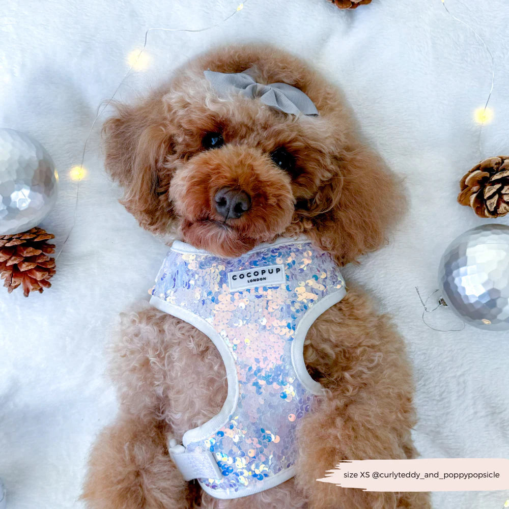 COCOPUP London - Hundegeschirr - LUXE Party Holographic Sequin