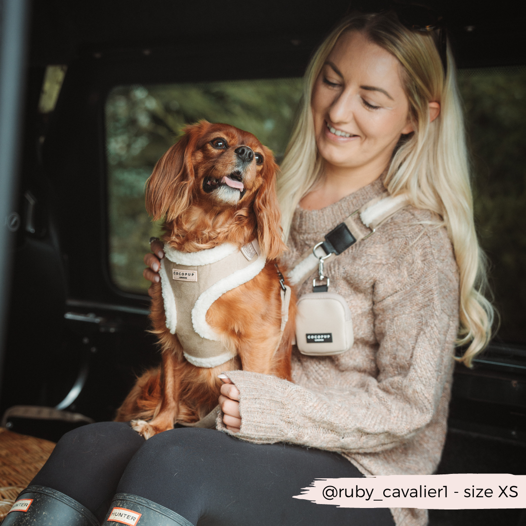 COCOPUP London - Hundegeschirr - Nude Aviator