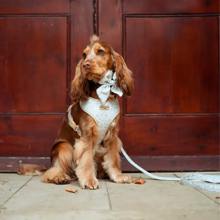 Die COCOPUP Luxe Leine im Garden Meadow Design in voller Länge – für modische Spaziergänge mit deinem Hund.