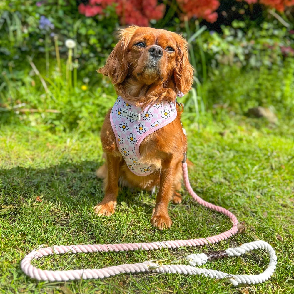 COCOPUP London - Leine - Seil rosa - Elli by Lena & Lisa