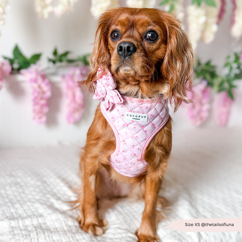 Sicheres Halsgeschirr für deinen Hund: Komfortables "Quilted Ditsy Floral Pink" Geschirr mit leicht verstellbarem Riemen.