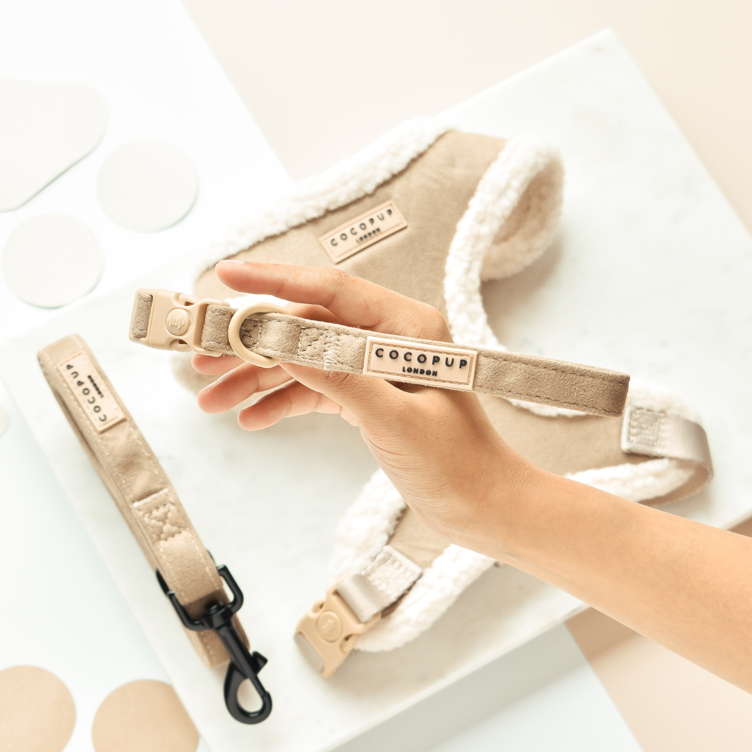 Das Nude Aviator Halsband verleiht deinem Hund einen eleganten, minimalistischen Look – perfekt für jeden Anlass.