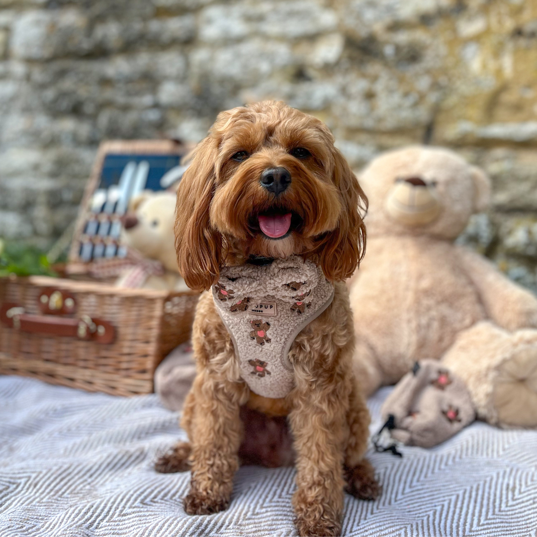 Komfort trifft auf Stil: Das "Theo Teddy" Hundegeschirr mit niedlichen Teddy-Stickereien – verstellbar und ideal für Hunde jeder Größe.