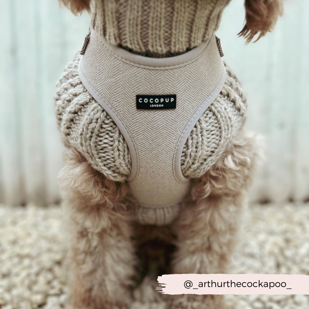 COCOPUP London - Hundegeschirr - Brauner Tweed