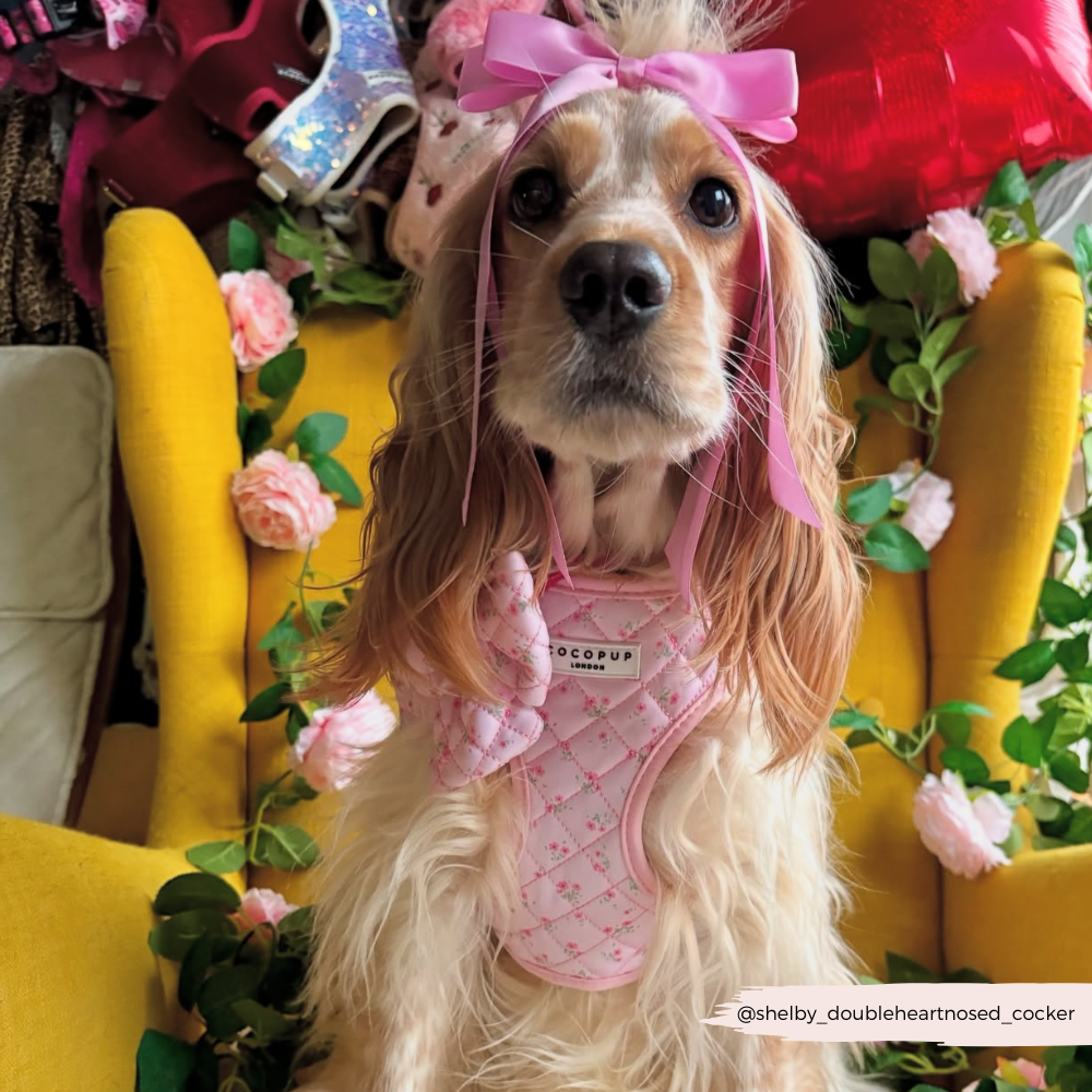Frühlingstaugliches Hundegeschirr: Rosa Halsgeschirr im Blumenmuster für deinen Hund – perfekt für sonnige Tage.