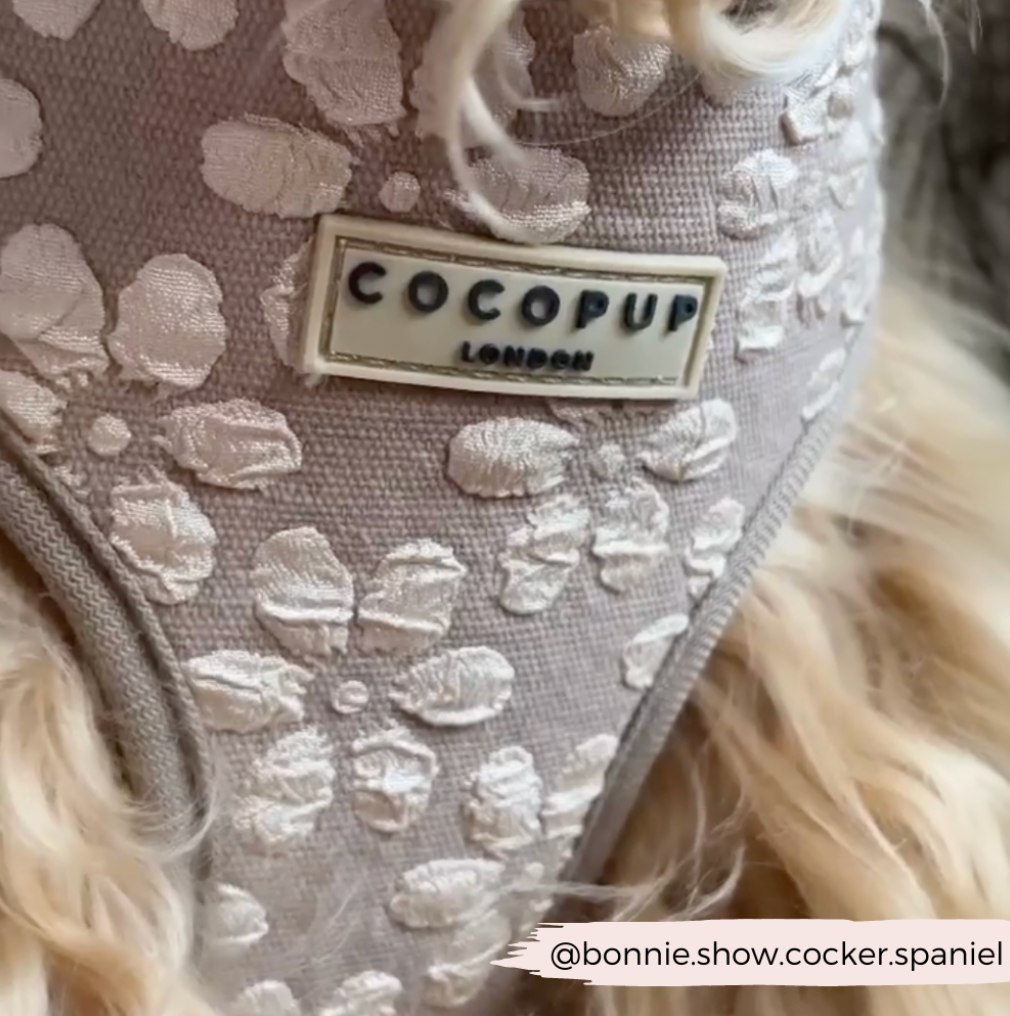 COCOPUP London - Hundegeschirr - Mokka Flower LUXE - Elli by Lena & Lisa