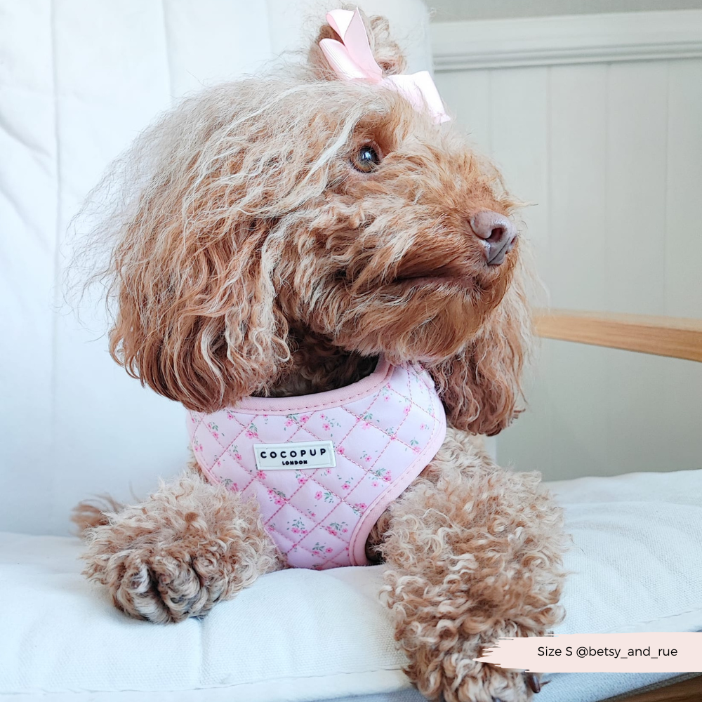 Halsgeschirr für Hunde im floralen Look: Rosa Geschirr mit Blumenprint für deine Fellnase – ideal für Spaziergänge im Frühling.