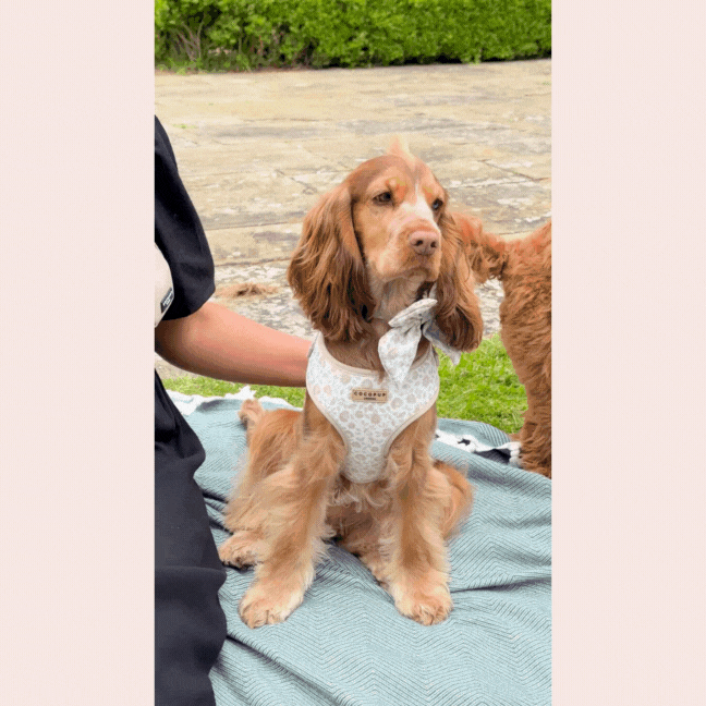 Garten-Inspiration für deine Hundegassitasche – Garden Meadow Luxe Bag Strap