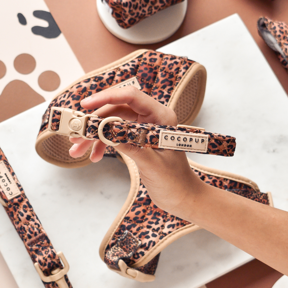 COCOPUP London - Gestepptes Halsband mit Leopardenmuster