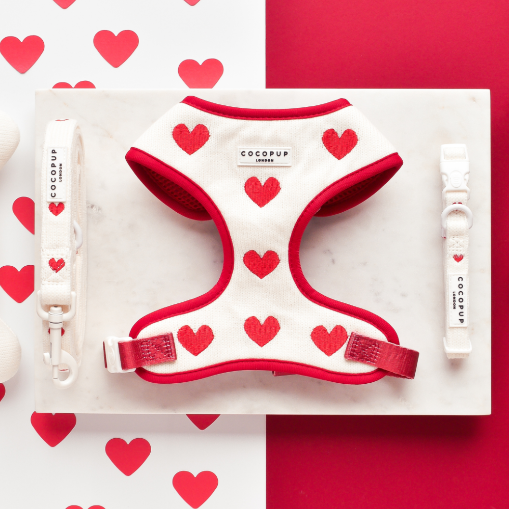 Modisches Hundehalsband mit Herz – perfekte Kombination aus Stil und Komfort.