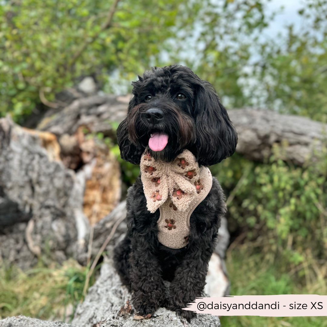 COCOPUP London - Hundegeschirr - Theo Teddy