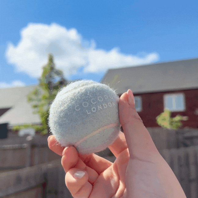 Frischer Pistazien-Tennisball von COCOPUP – langlebig, springfreudig und ideal für aktive Hunde.