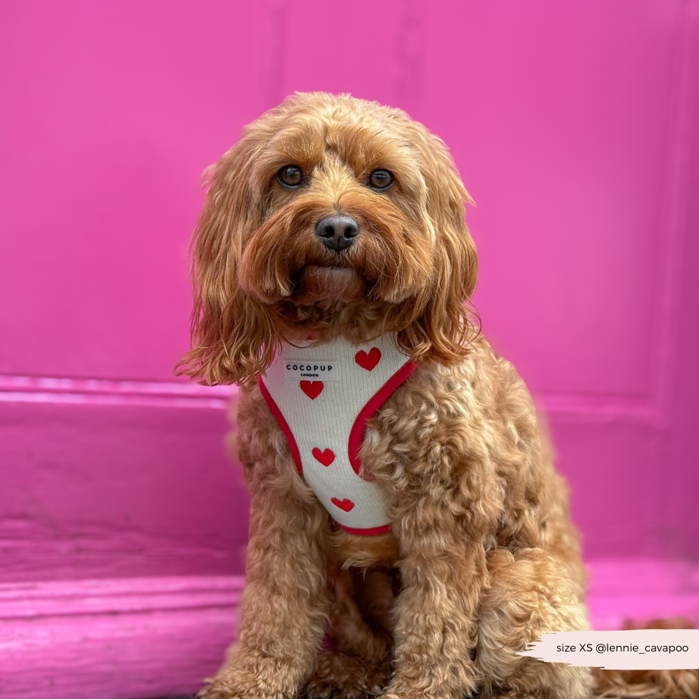 Komfortables Hundegeschirr mit Herz-Stickerei – für einen stilvollen Spaziergang.