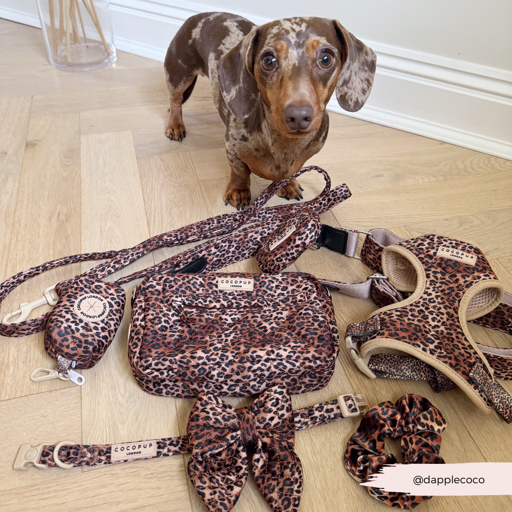 Die Leoparden-Dog-Walking-Bag: Dein täglicher Begleiter beim Gassigehen mit deinem Hund, stylisch und funktional zugleich.