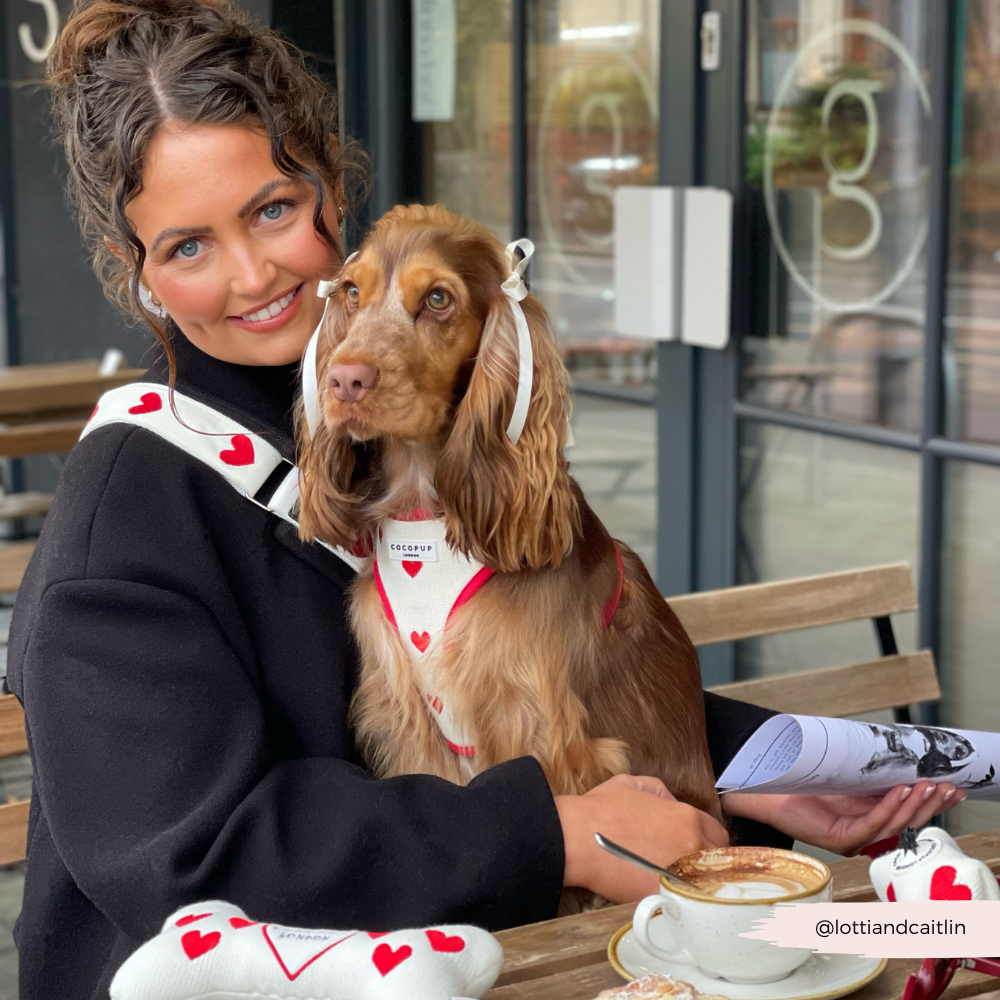 Verstellbarer Bag Strap in Samt – perfekt für Hundebesitzer, die Liebe zeigen wollen.
