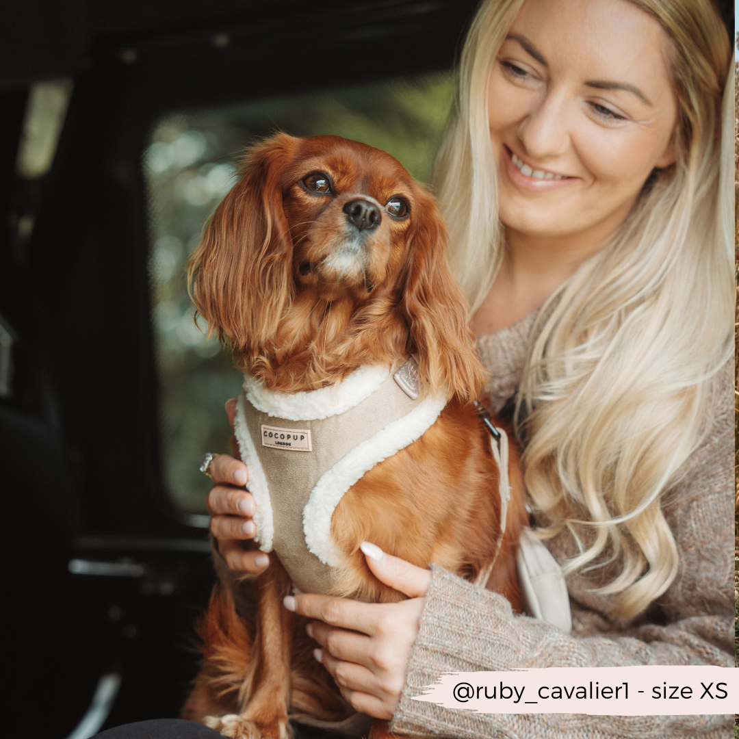 COCOPUP London - Hundegeschirr - Nude Aviator