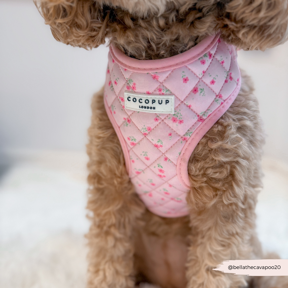 Komfortables Halsgeschirr für Hunde: Das "Quilted Ditsy Floral Pink" Geschirr sorgt für sicheren Halt bei Spaziergängen.